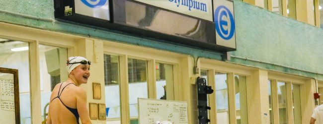 Bellio walks on pool deck