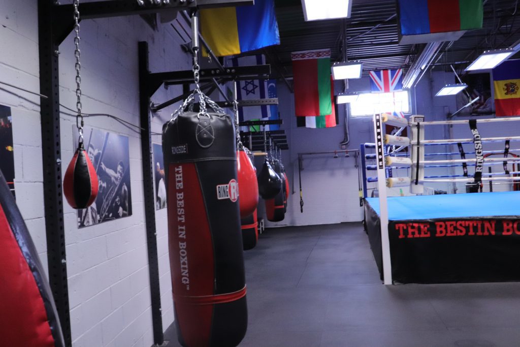 Punching Bags and Ring