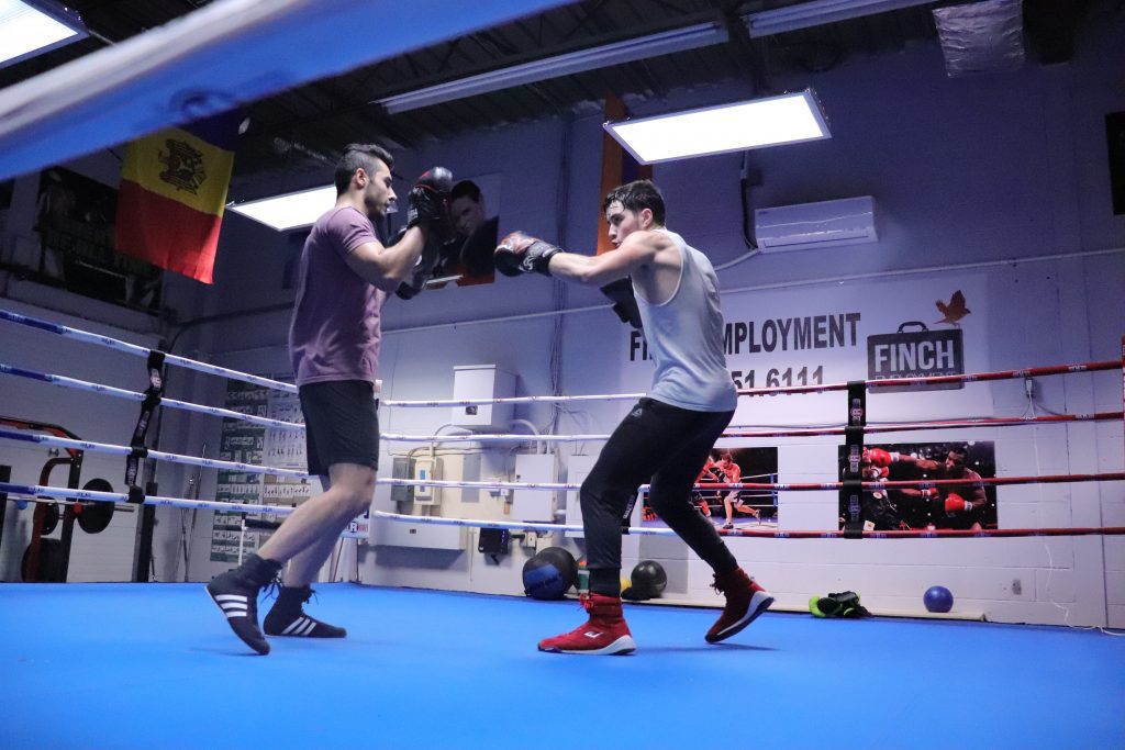 Boruch and Samir Punch Training