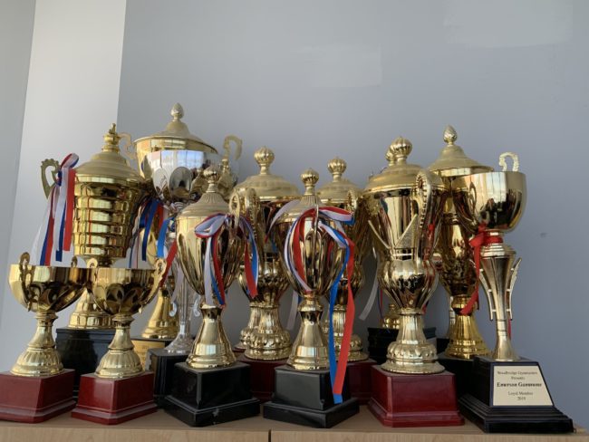 Rows of golden trophies with ribbons on them.