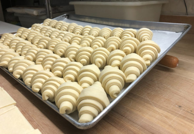Large tray of uncooked croissants sitting on a piece of parchment paper.