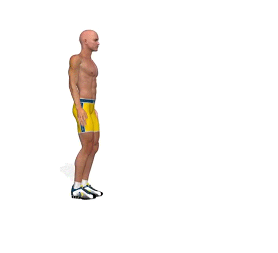 This animated gif is showing what muscles groups are activated when you do a lunge with correct form and mechanics.