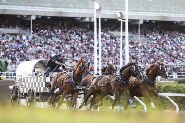 A person in a checkboard horse-drawn carriage.
