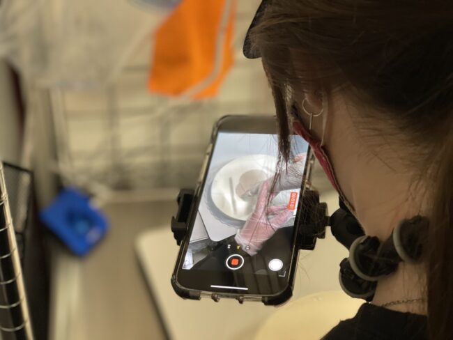 Girl filming herself decorating a cake