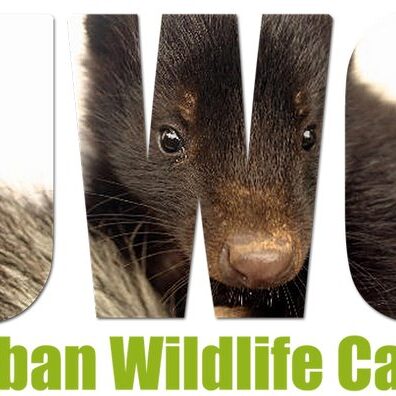 Logo of the Urban Wildlife Care.