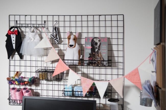 A wall decorated with a magazine and dog clothes.