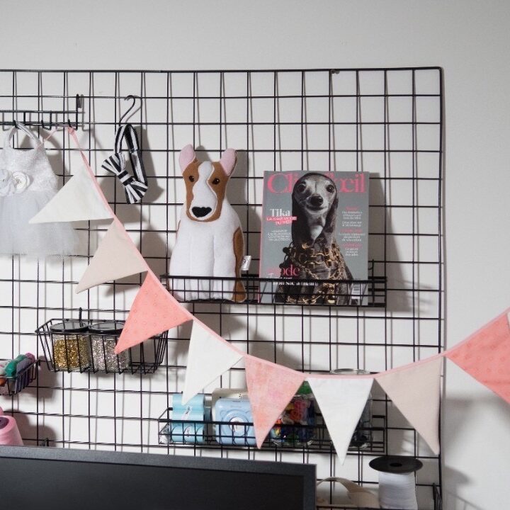 A wall decorated with a magazine and dog clothes.