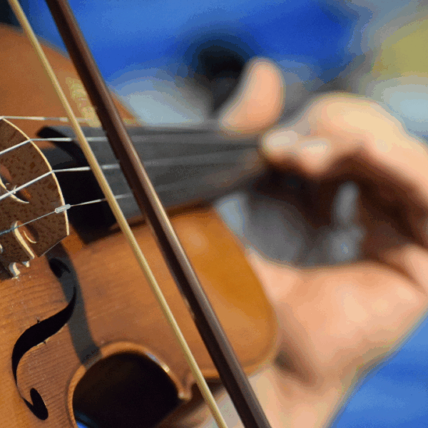 Close up of man playing the violin.
