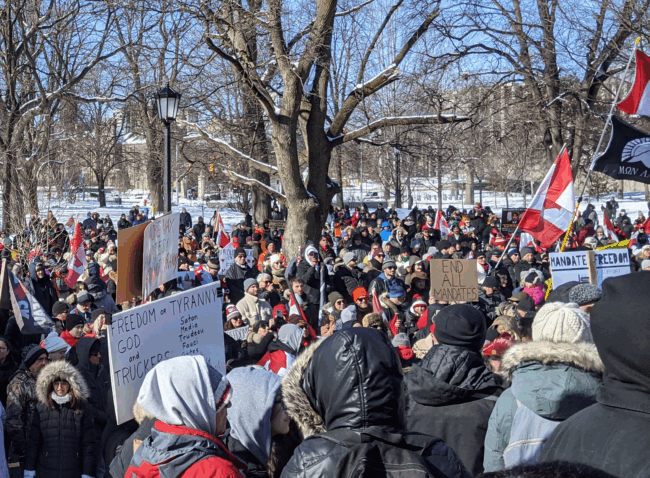 A huge crowd of people holding signs and marching in the same direction underneath the snow covered trees in a park during the winter.
