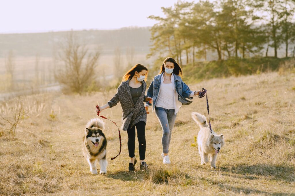 Women running with dogs
