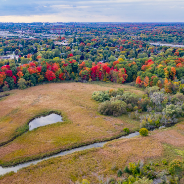 Greenbelt from the GBF Wide bird's eye view of Ontario's Greenbelt