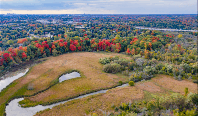 Wide bird's eye view of Ontario's Greenbelt