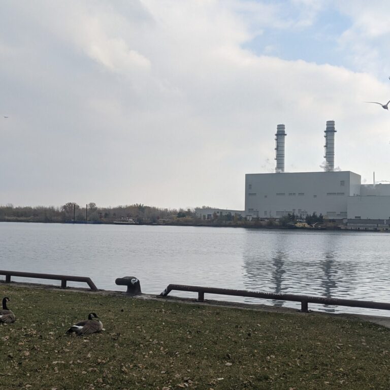 A photo of the Portlands Power Plant in downtown Toronto. The Portlands Power Plant is white and seems to be in operation as there is flue gas coming out of the stack. There are geese in the foreground