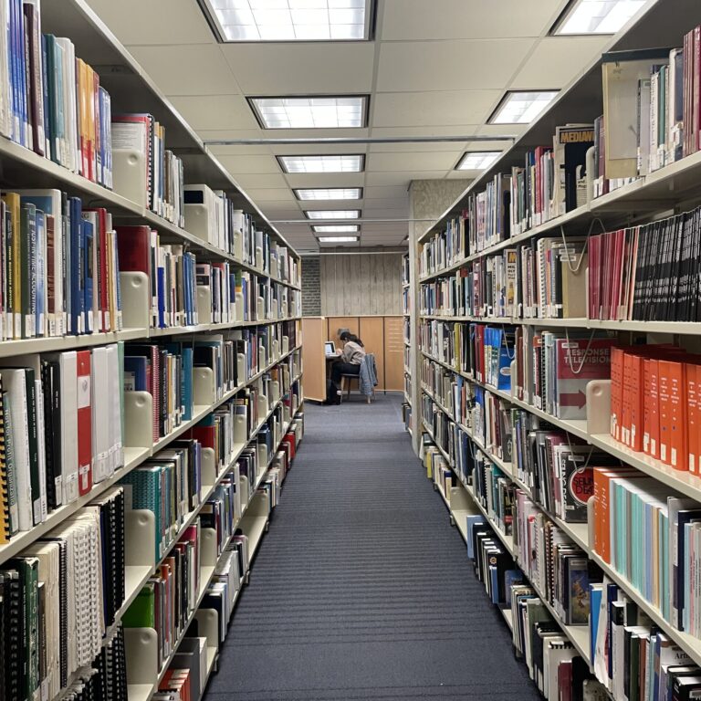 Person sitting at a desk with book shelves on either side.